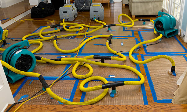 Professional Water Damage Restoration technician working in Brookdale, SC